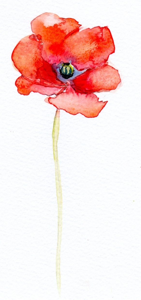 Wedding Flowers Cornwall 8